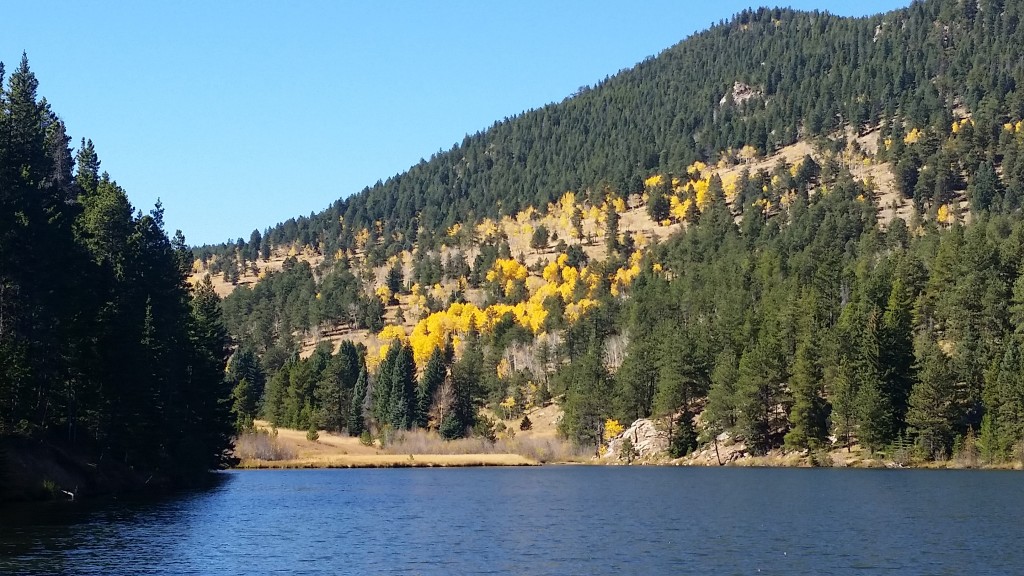 Beaver Brook Pond