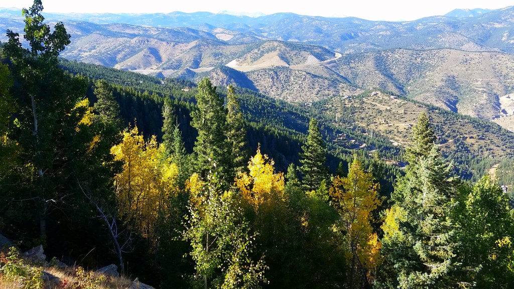 view at top