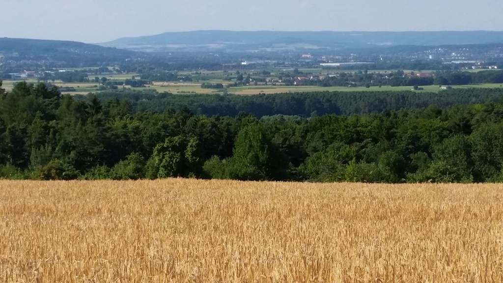 We walked through those trees, came out into a little clearing with a beer garden, then ended up above these fields. Just a normal day outside Erlangen!