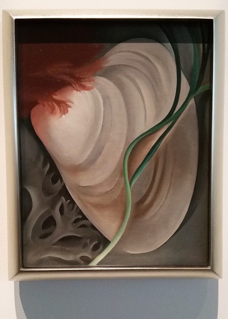 Clamshell with seaweed painting by G. O'Keefe