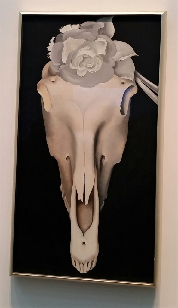 Horse skull with white rose