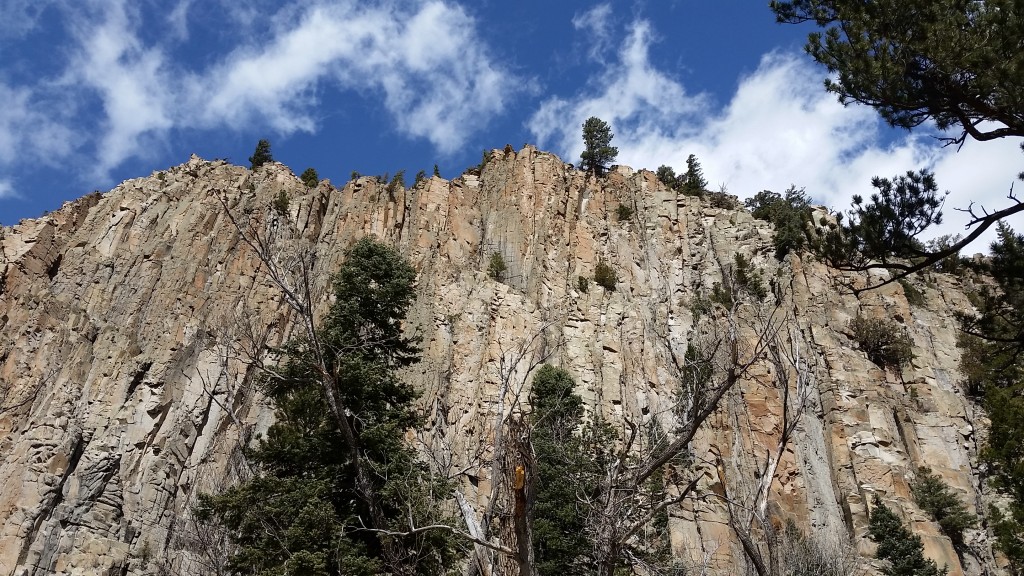 Palisades Sill cliff face in Cimarron Canyon, NM